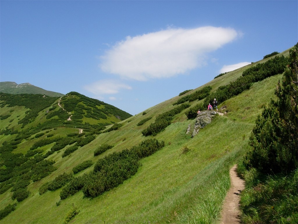 DSCN4902.jpg
