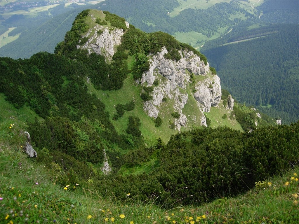 DSCN4887.jpg