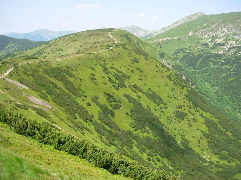 DSCN4909.jpg