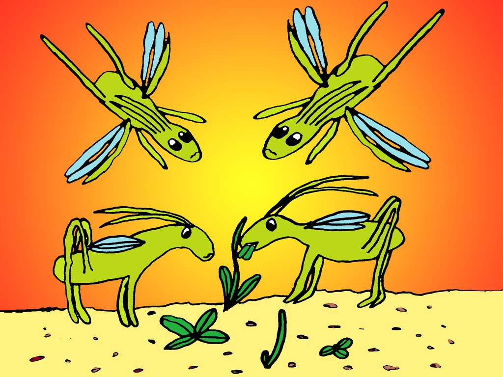 Naše zkušenosti s Bohem