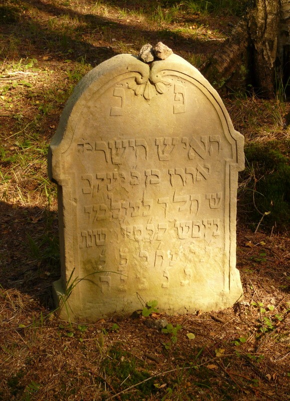 Židovský hřbitov Dřevíkov.JPG