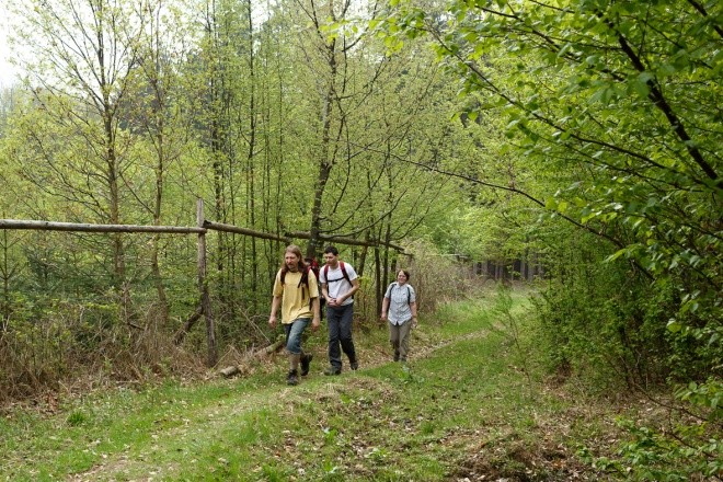 BuBuBu2013_1.jpg