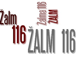 Davidovo svědectví