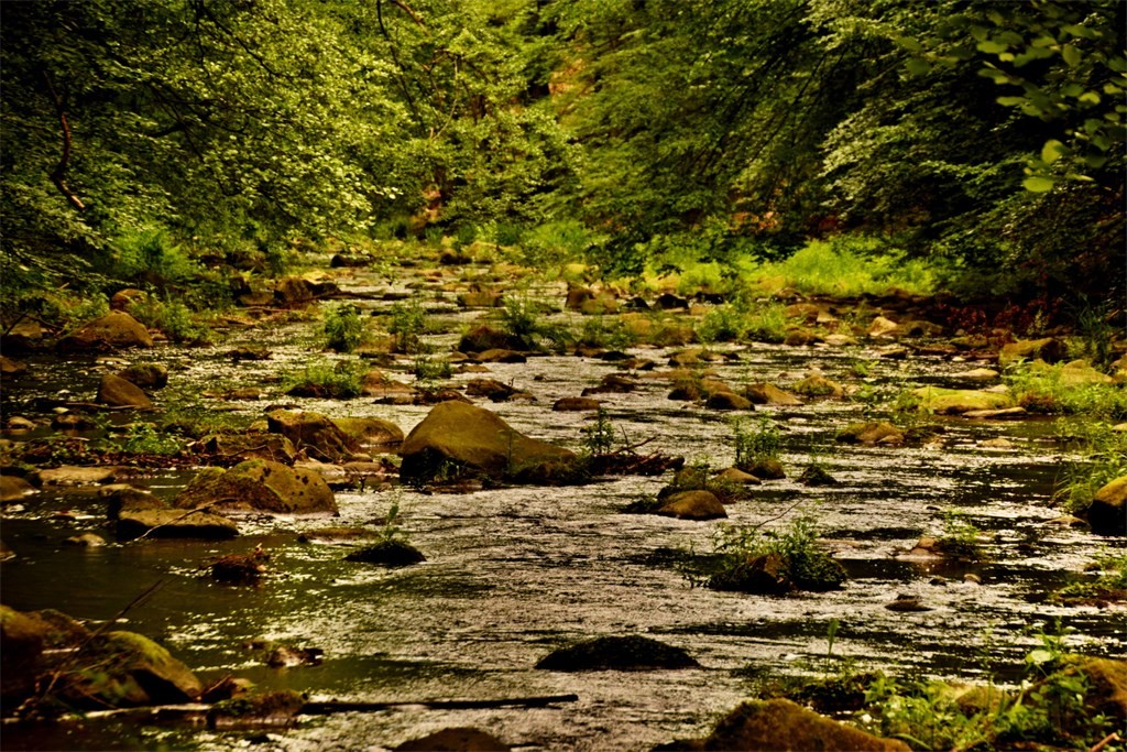 DSC_0132.JPG