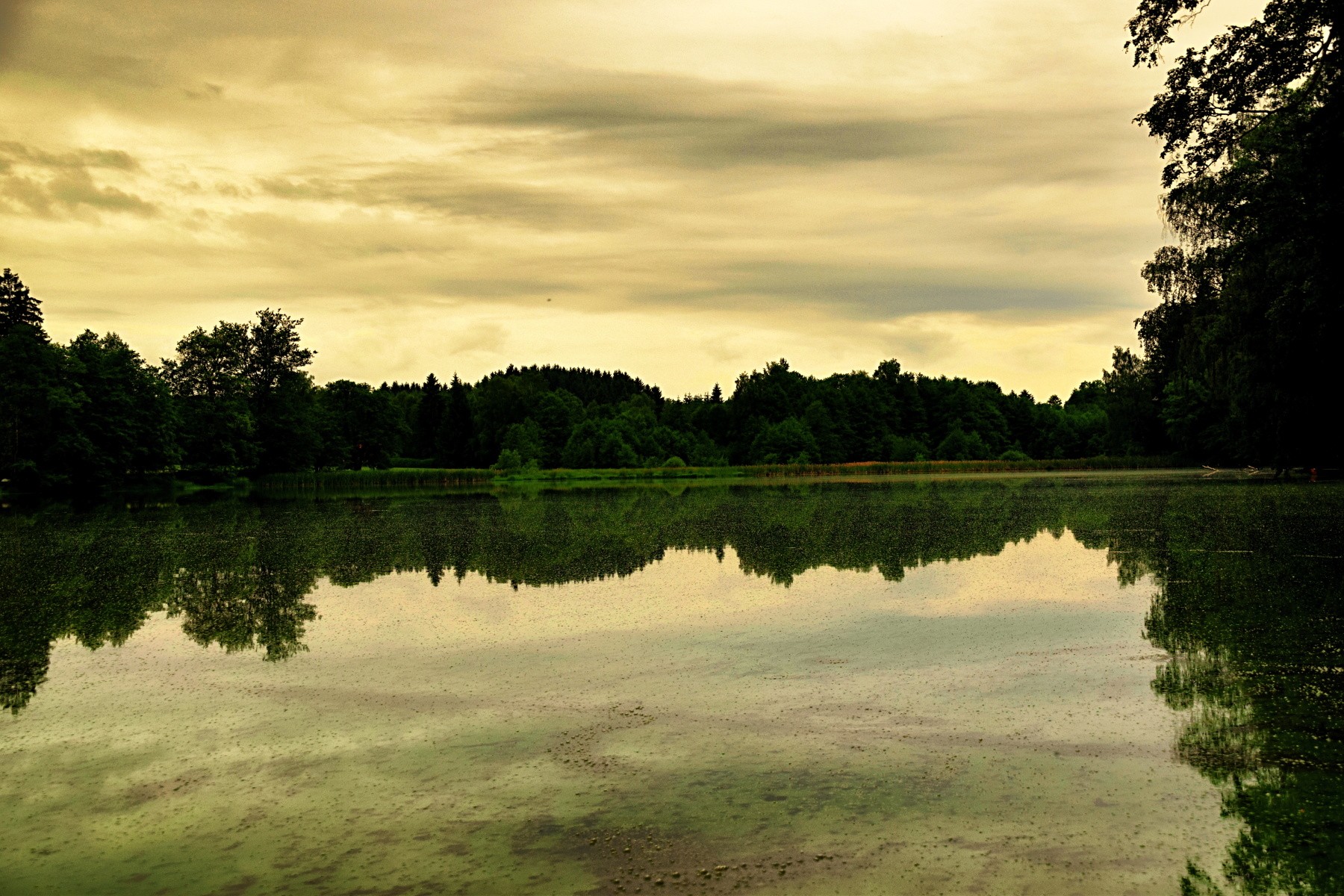 Rybník Dlouhý 2016