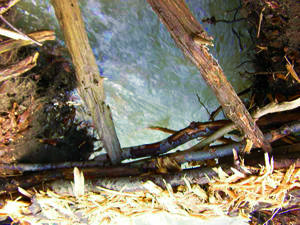 Jsme moudří nebo blázni