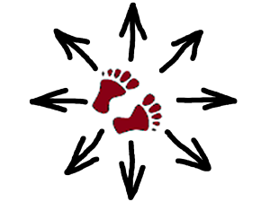 Povoláni ke svobodě