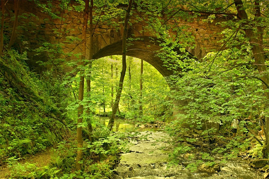 DSC_0337.jpg