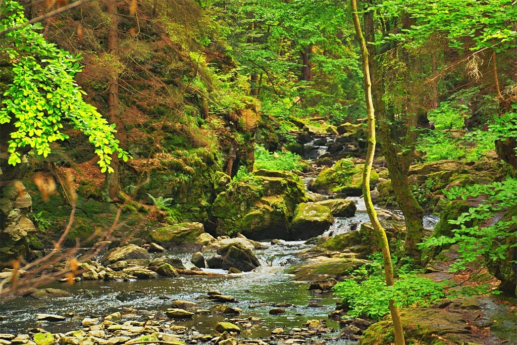DSC_0410.jpg