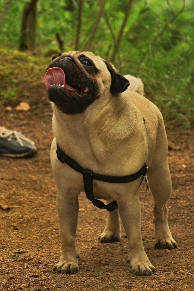 DSC_0445.jpg