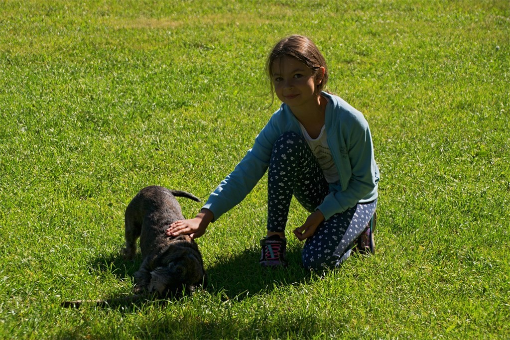DSC_0501.jpg