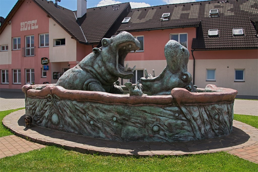 DSC_0581.jpg