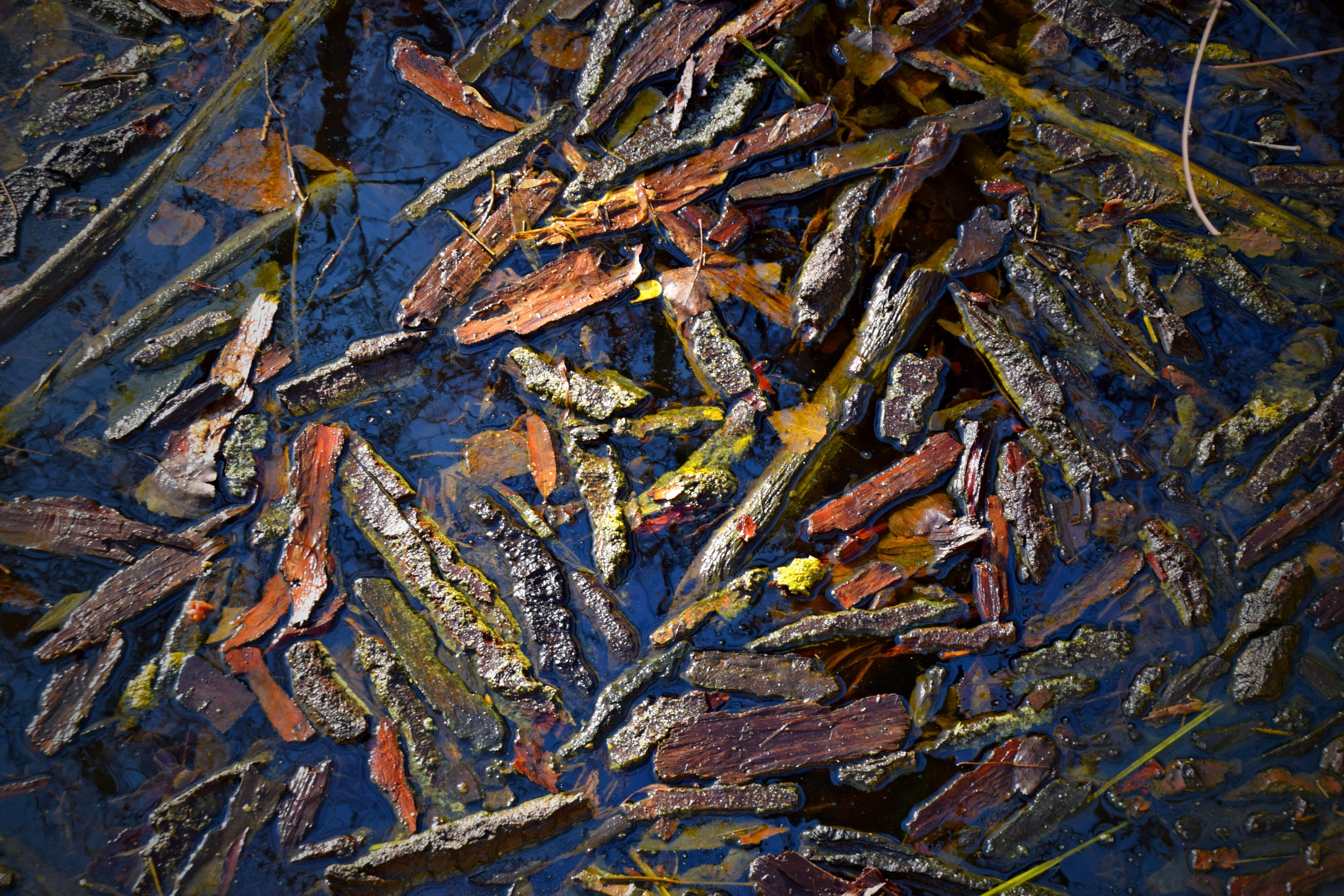 Bronislav Matulík - Adventní kalendář 17