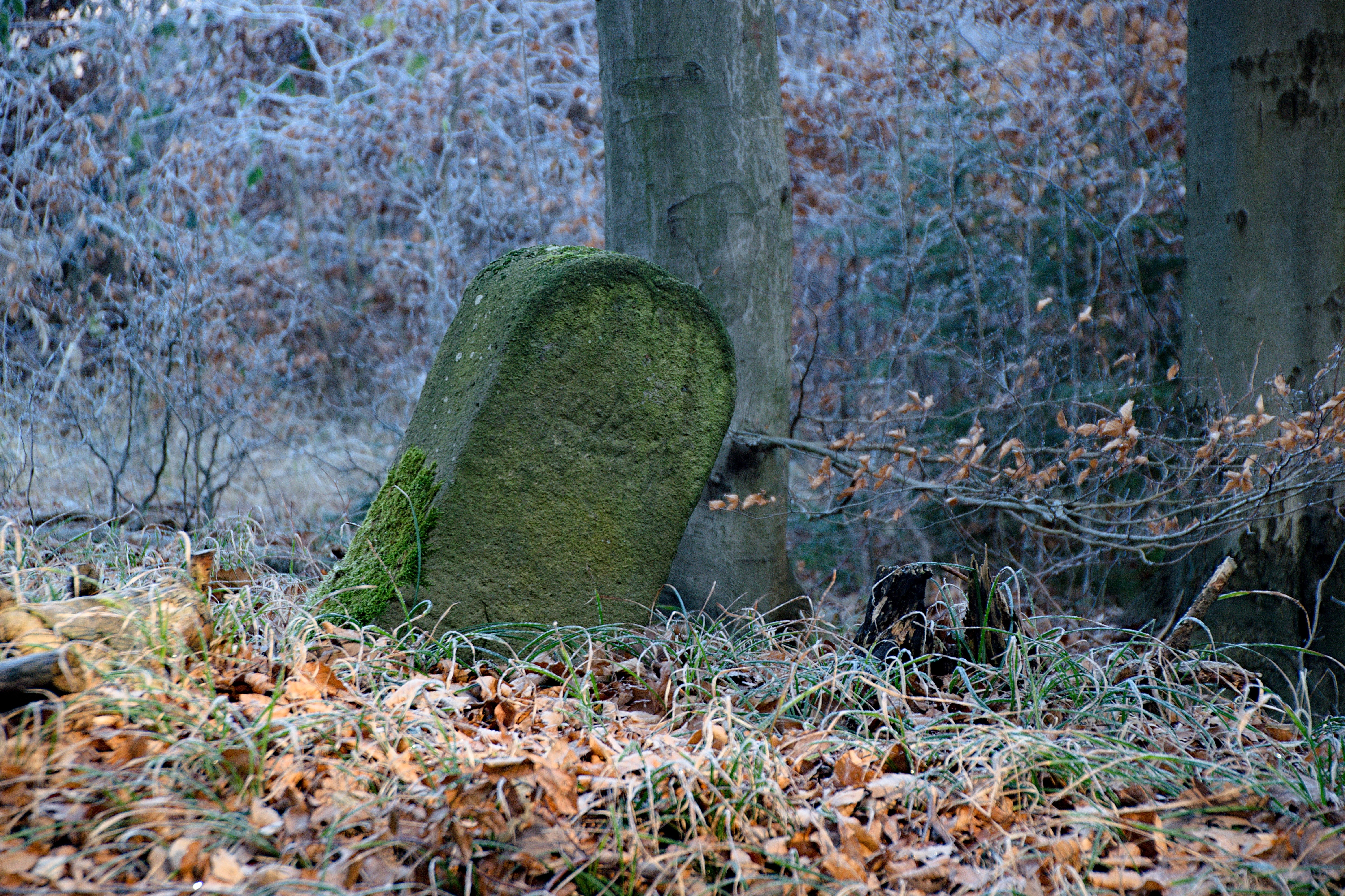 Bronislav Matulík - Adventní kalendář 19