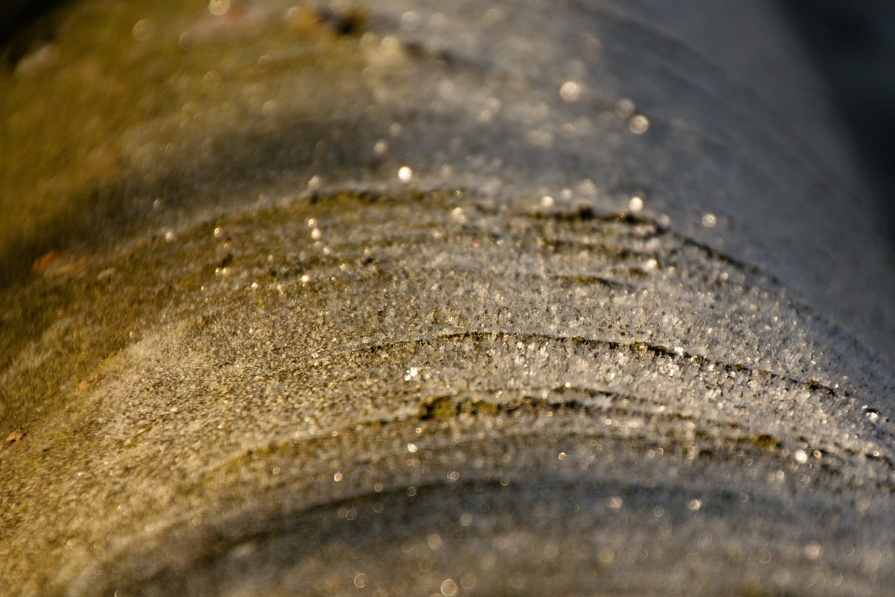 Bronislav Matulík - Adventní kalendář 22