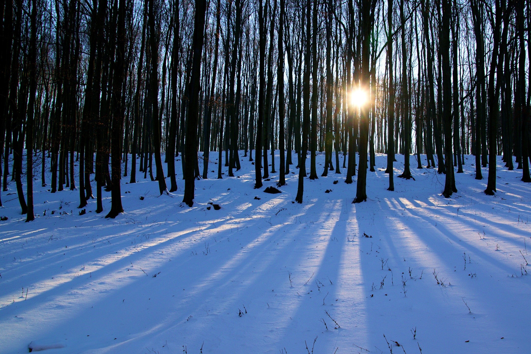 Bronislav Matulík - Adventní kalendář 23