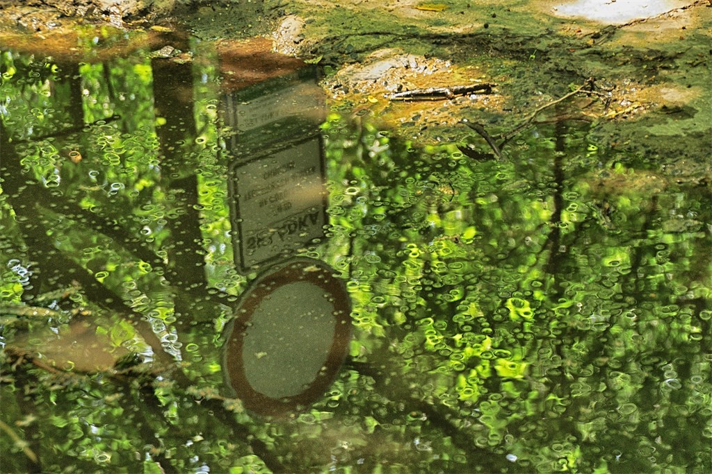 DSC_0163a.jpg
