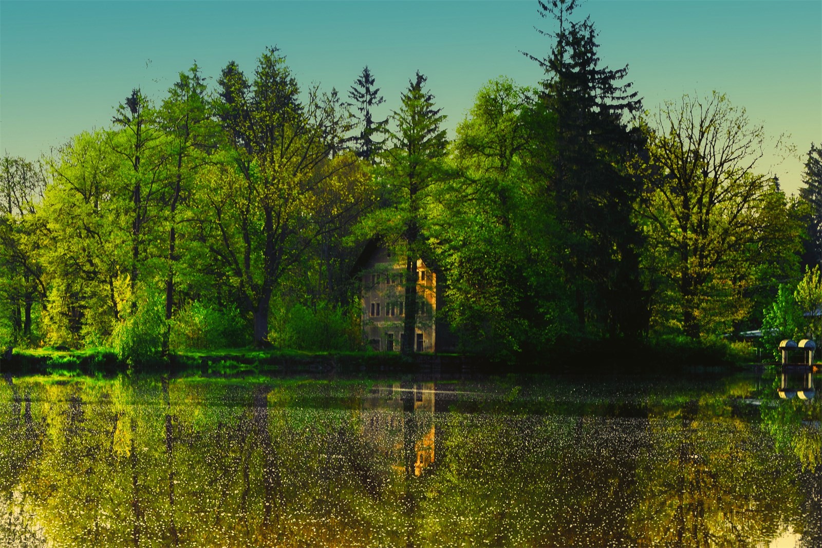 DSC_0059.JPG