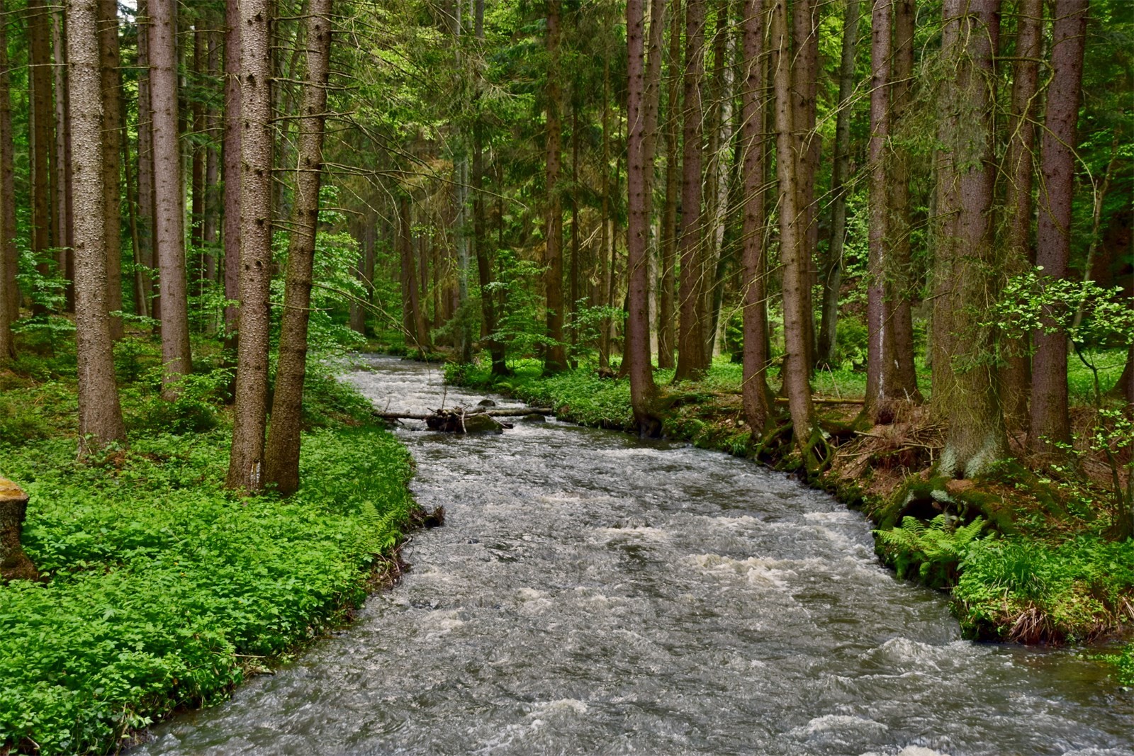 DSC_0120.JPG