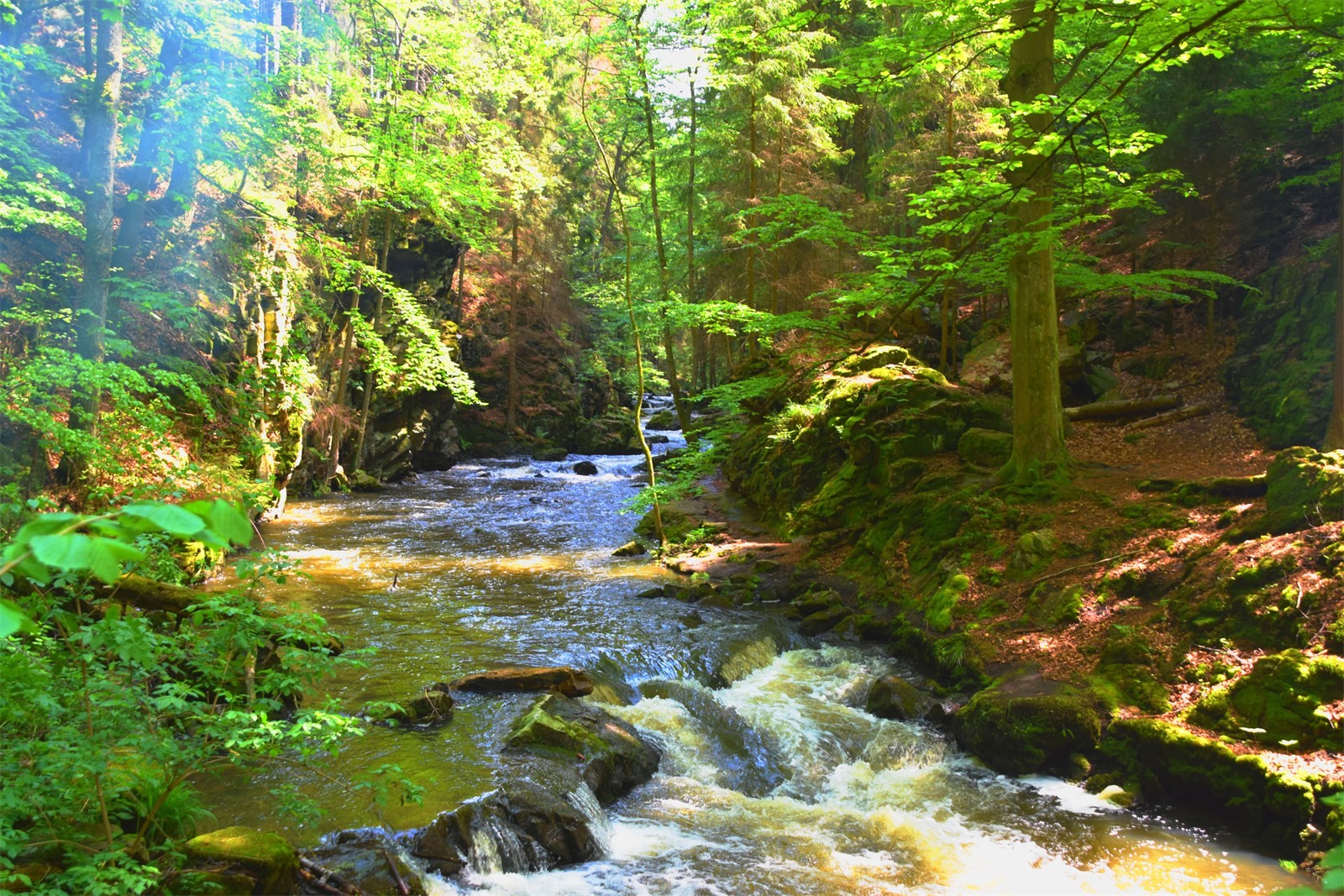 DSC_0176.JPG