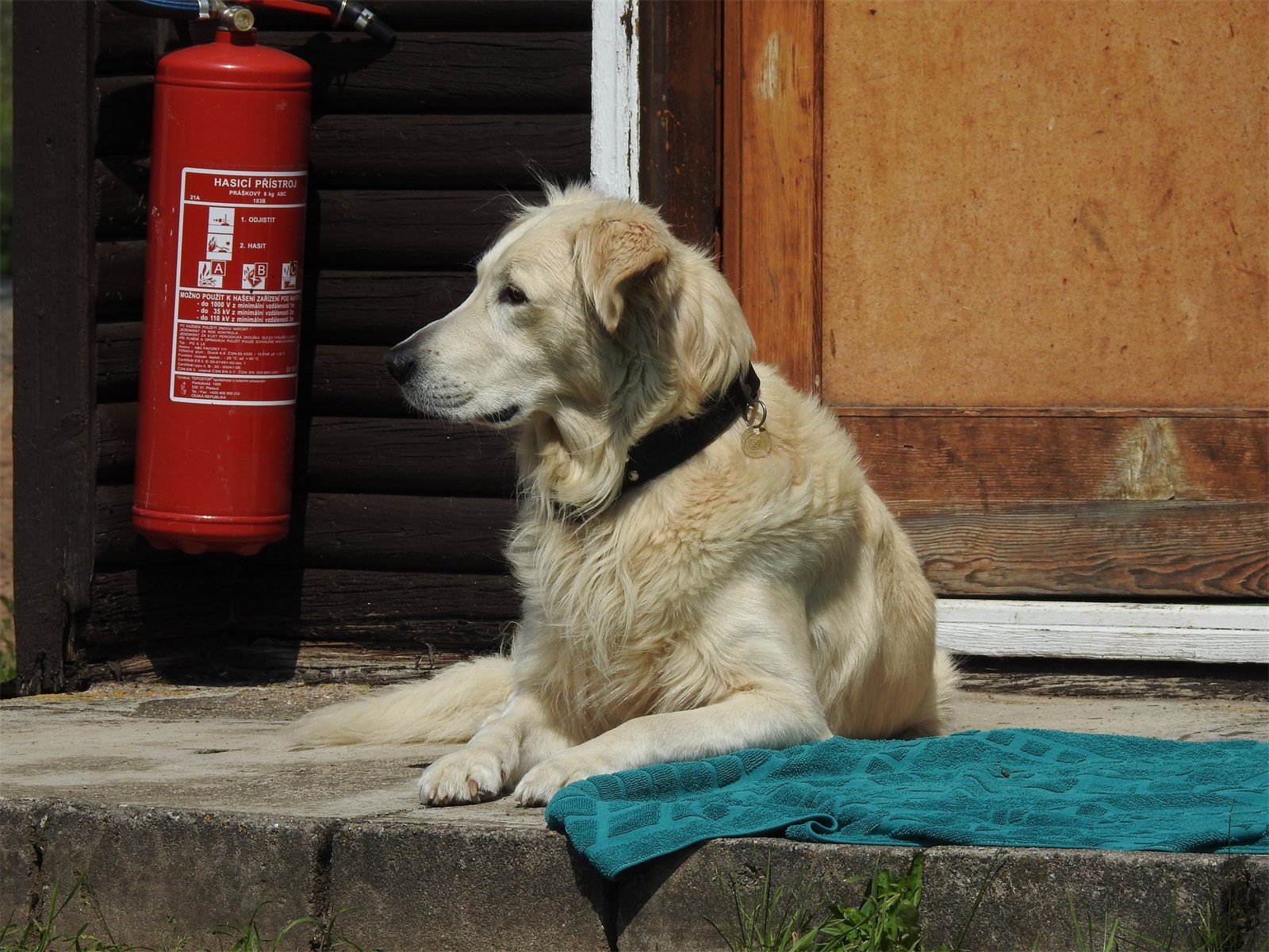 DSCN1781.JPG