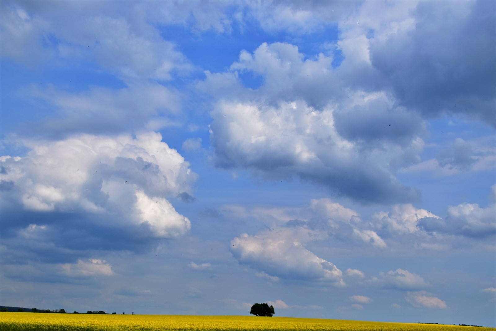 DSC_0376.JPG