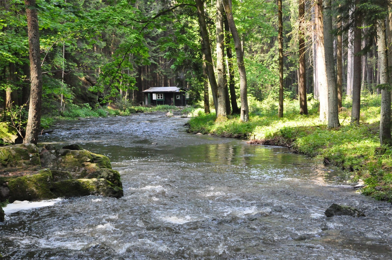 DSC_0151 - kopie.JPG