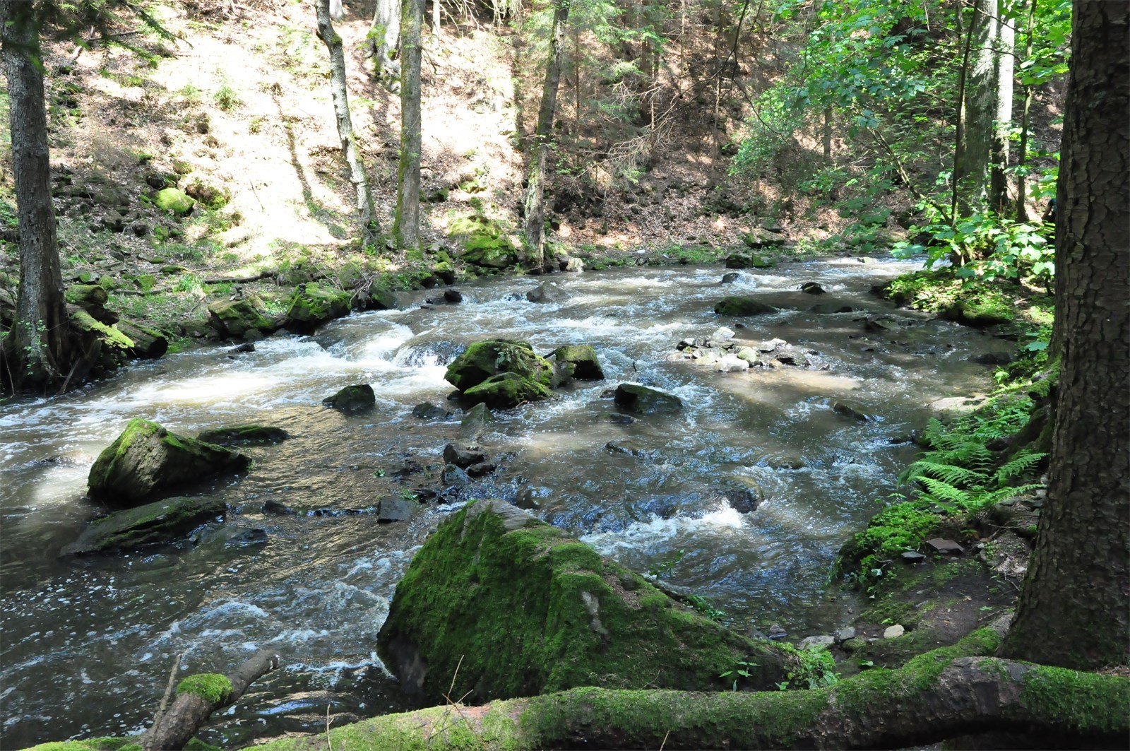 DSC_0159 - kopie.JPG