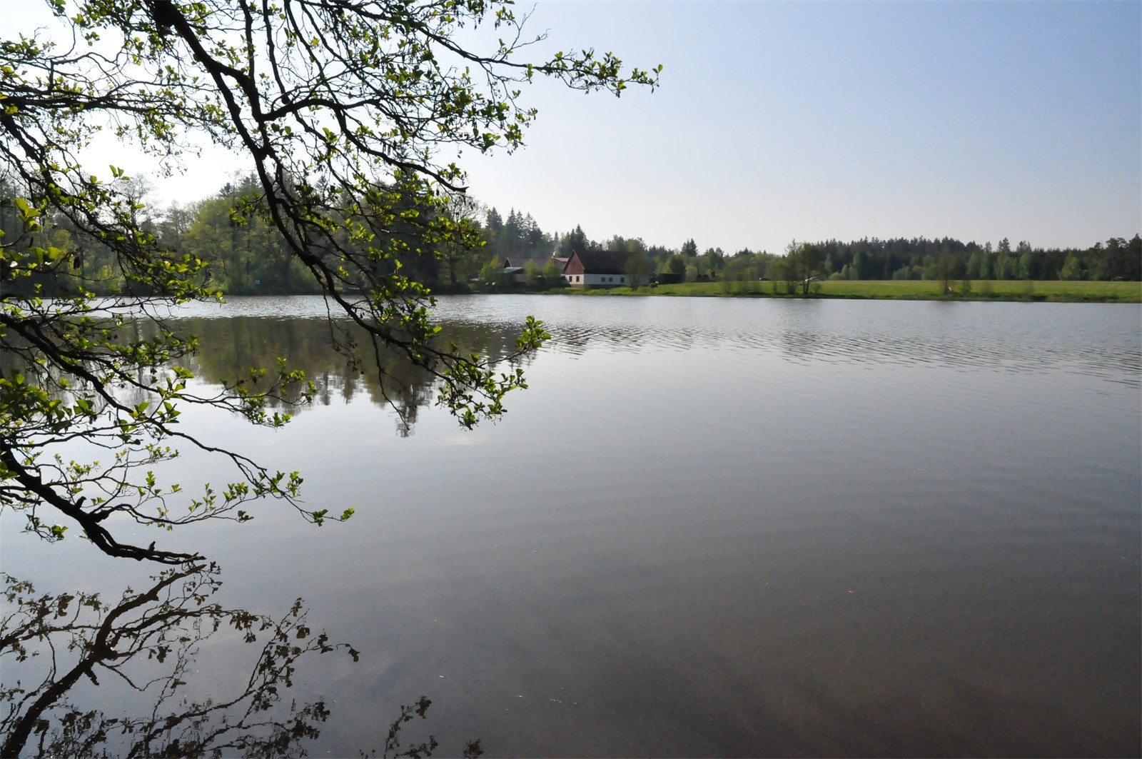 DSC_0191 - kopie.JPG