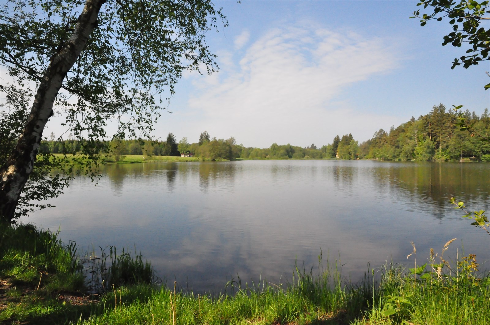 DSC_0211 - kopie.JPG