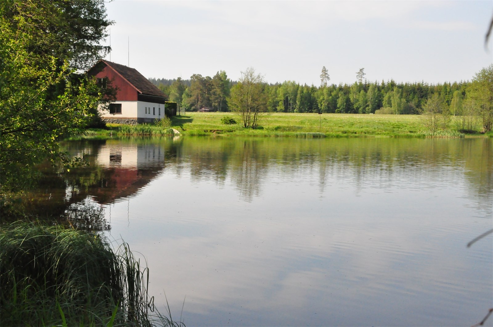 DSC_0212 - kopie.JPG