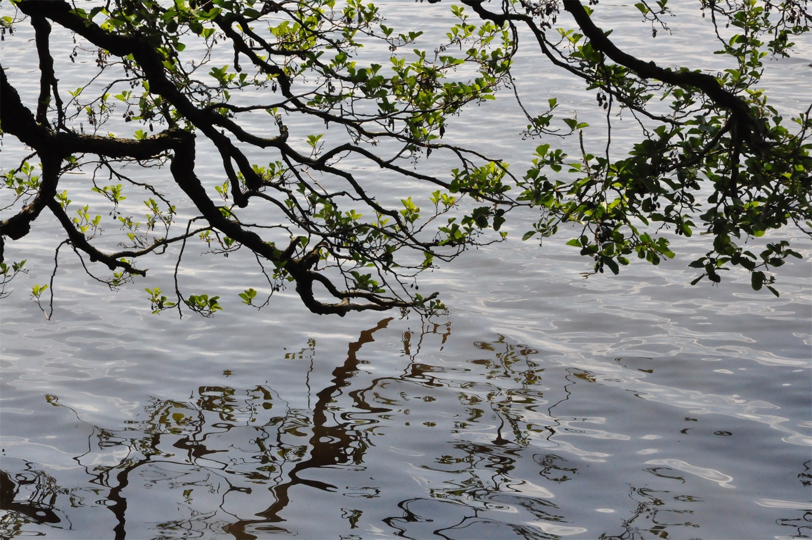 DSC_0277.JPG