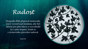Jonáš_ Radost (42) 0-3 screenshot.png
