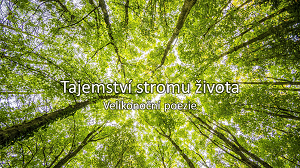 Tajemství stromu života - velikonoční poezie