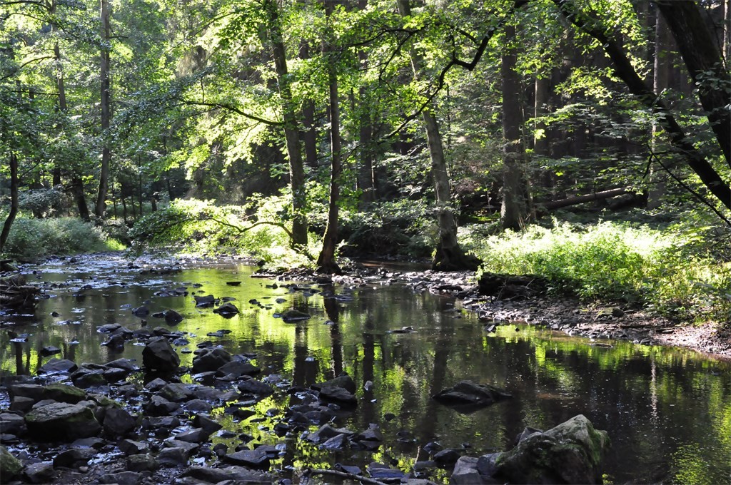 DSC_0468.JPG