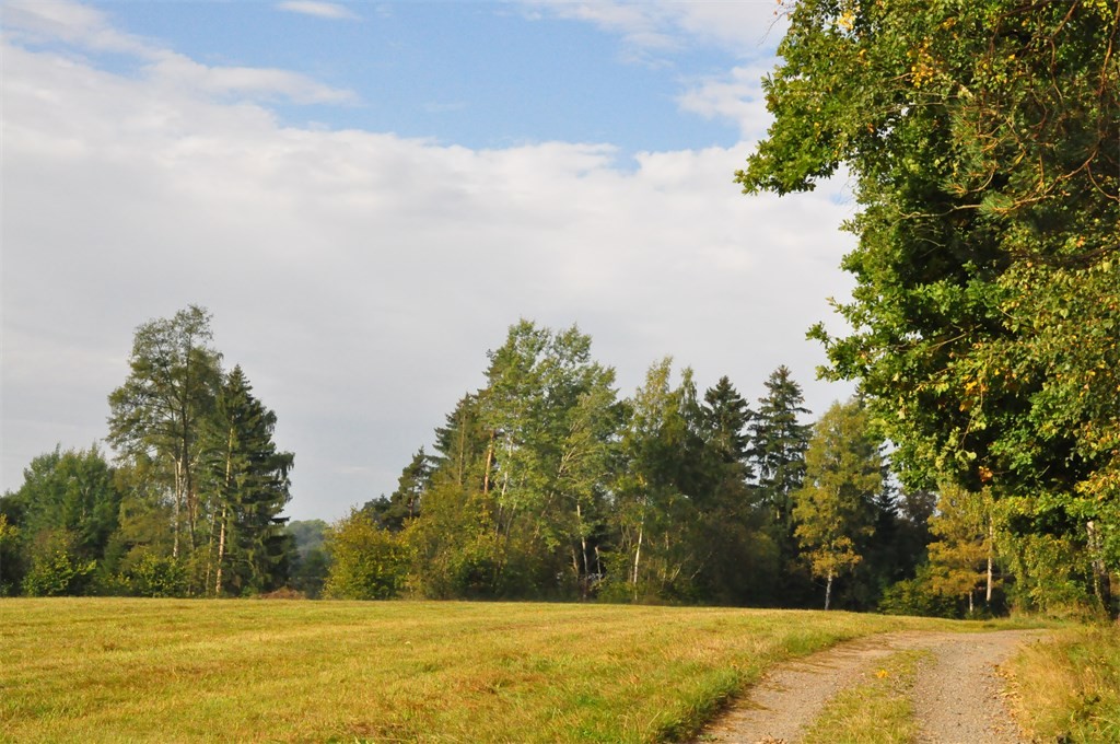 DSC_0505.JPG
