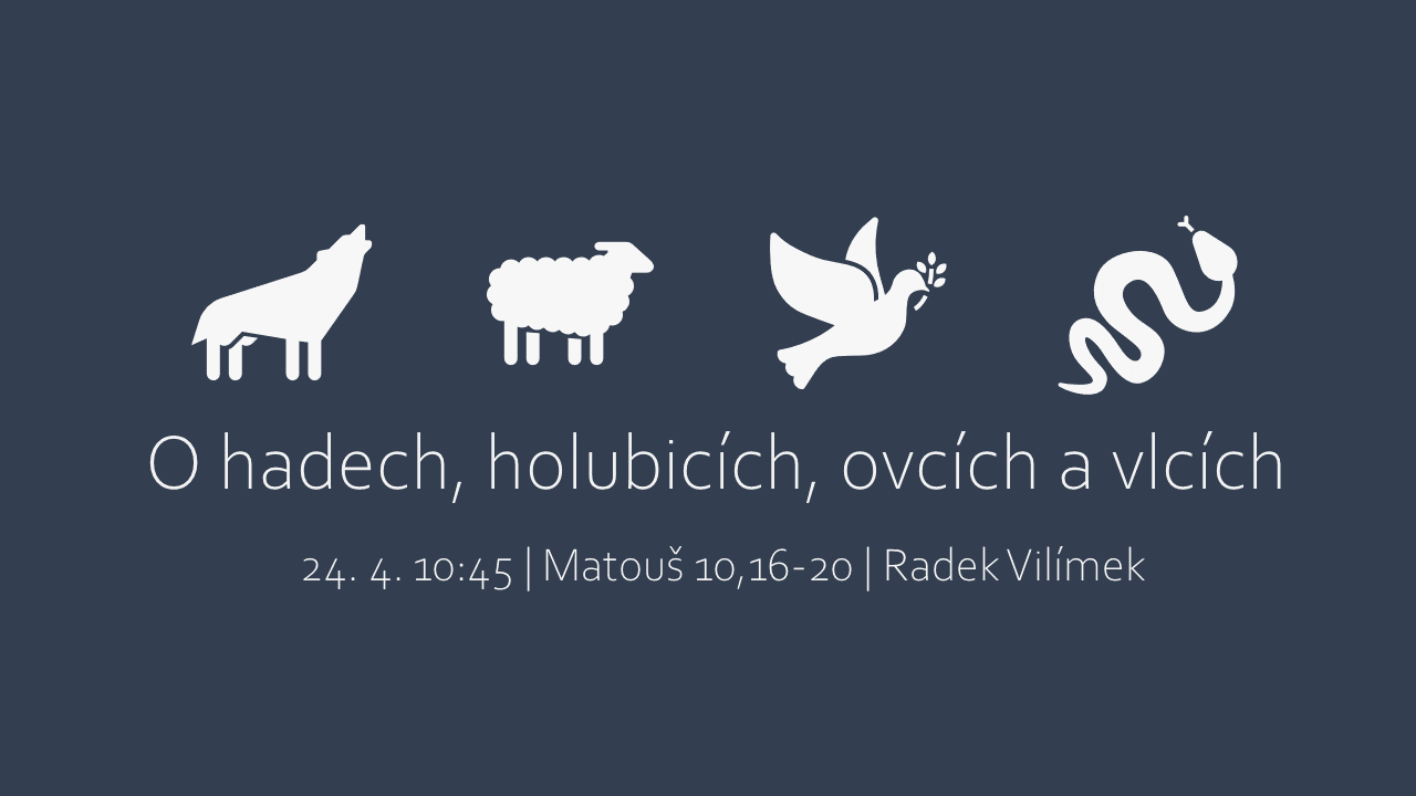 O hadech, holubicích, ovcích a vlcích - nedělní bohoslužba