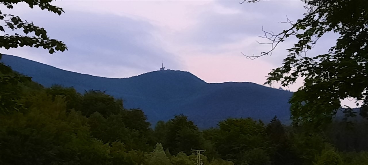20220610_211109.jpg