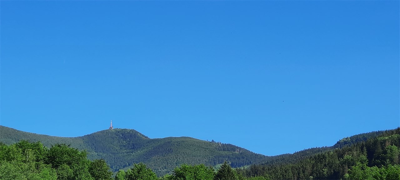 20220611_163902.jpg