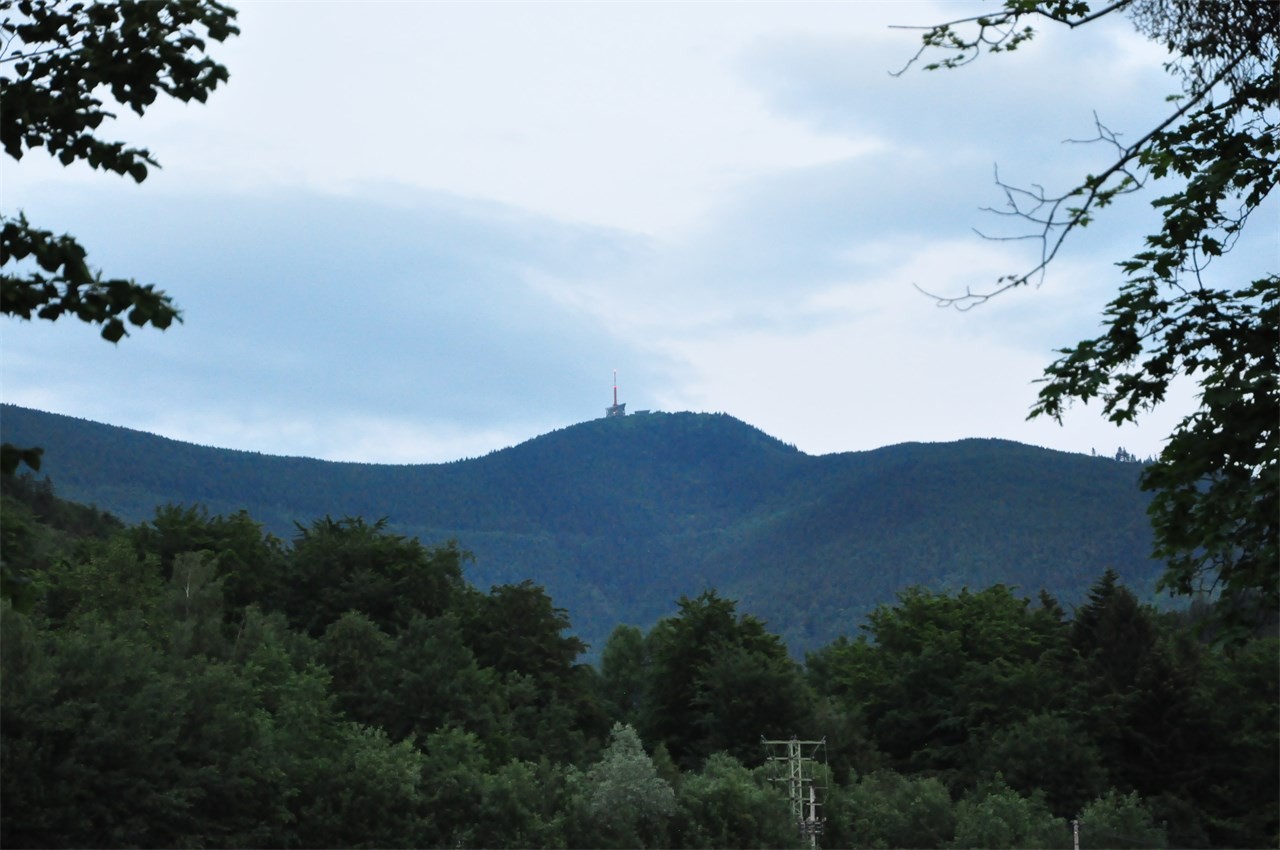 DSC_0399.JPG