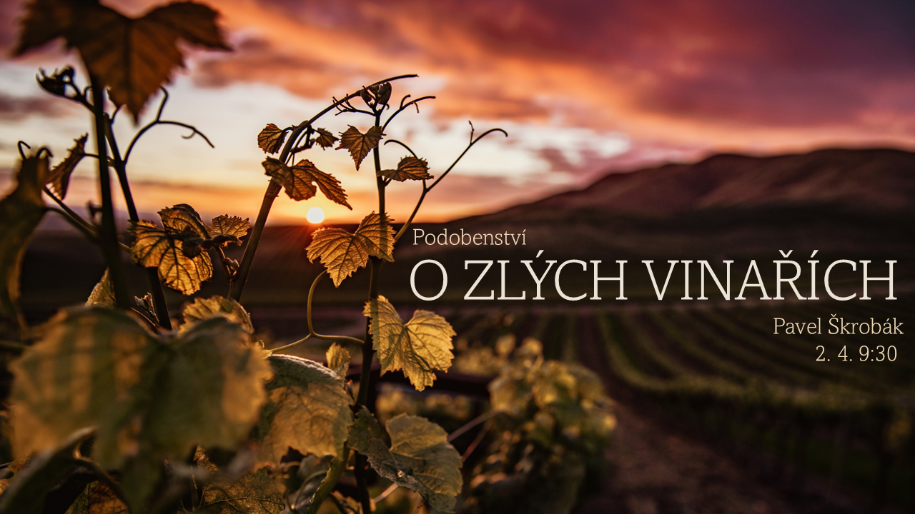 O zlých vinařích.png