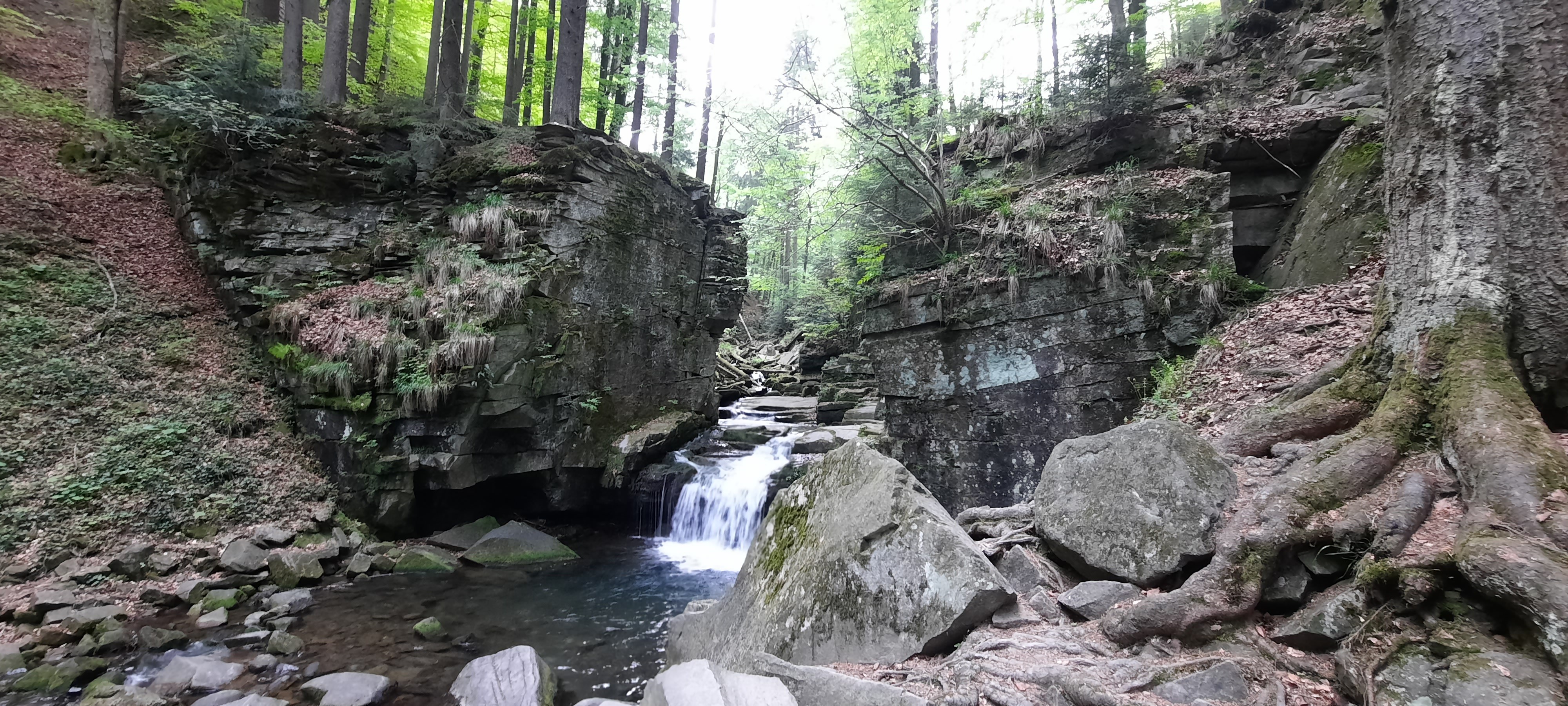 20230513_152943.jpg