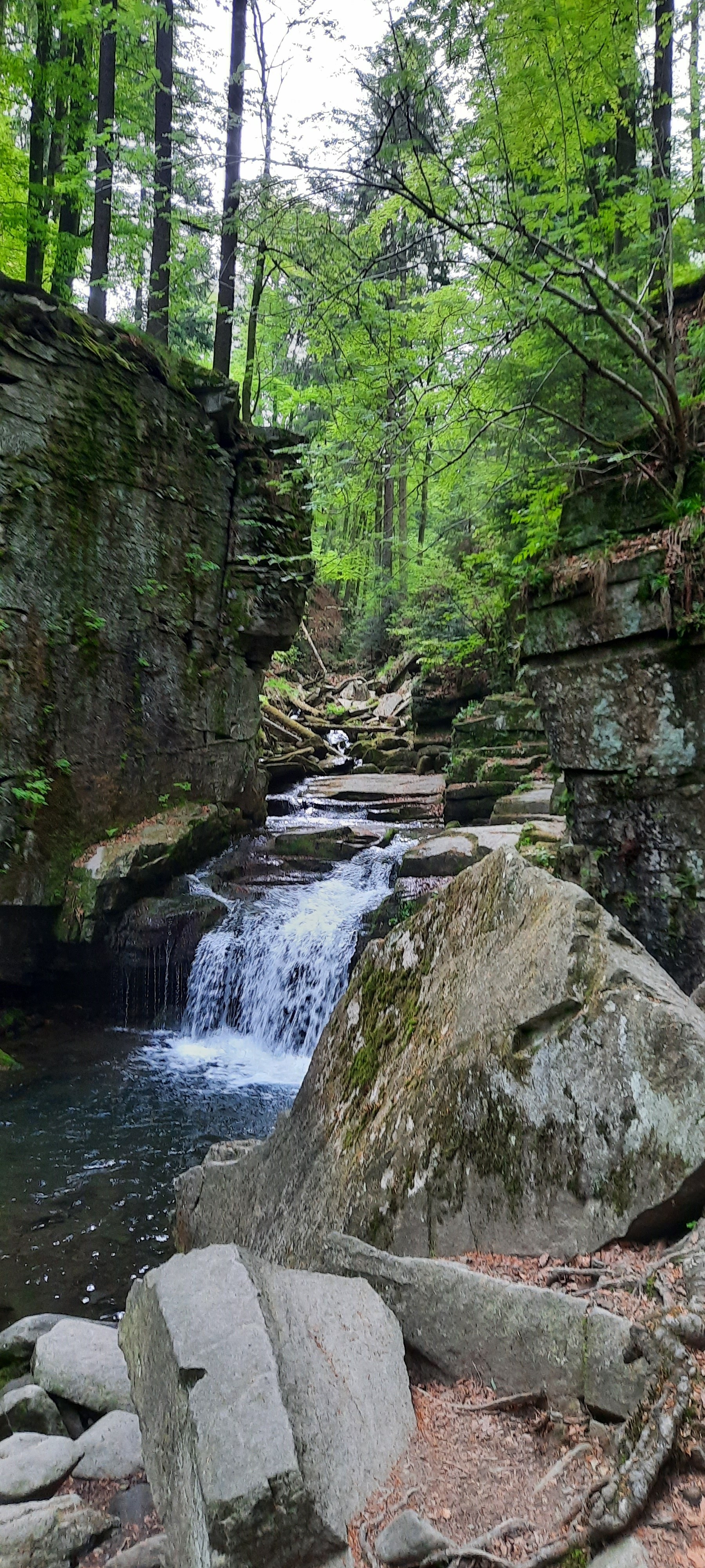 20230513_152935.jpg