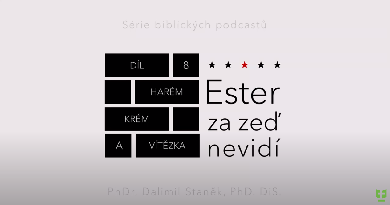 Snímek obrazovky 2023-11-06 084407.png
