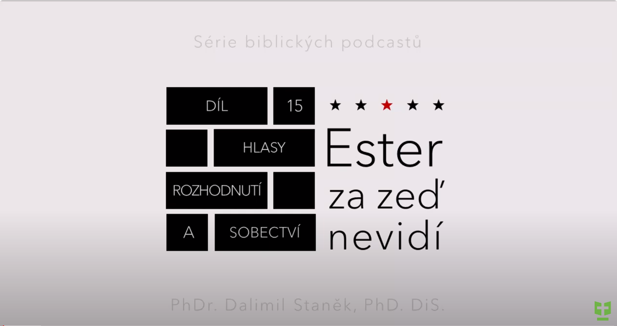 Snímek obrazovky 2023-12-25 193017.png