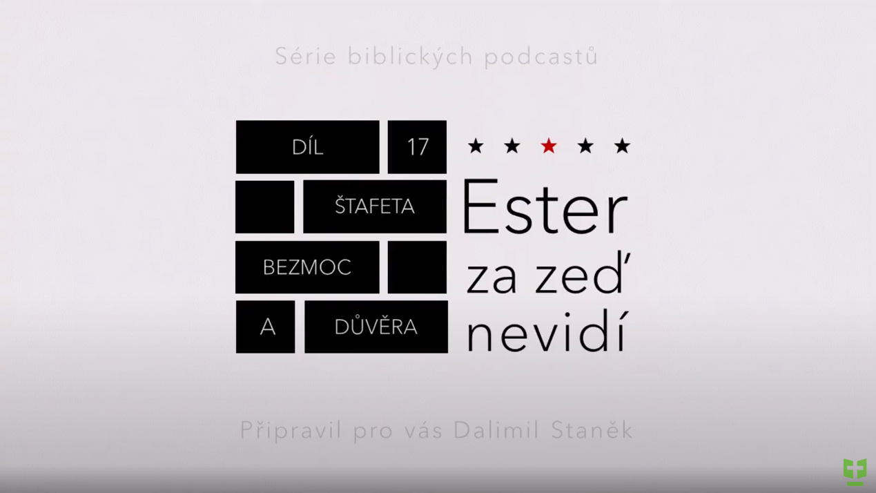 Snímek obrazovky 2024-01-08 111748.png