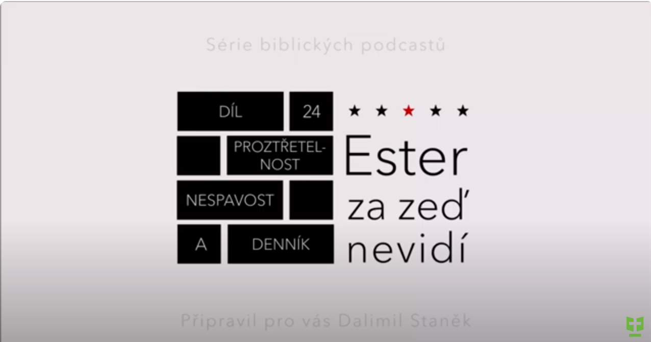 Snímek obrazovky 2024-02-26 205514.png