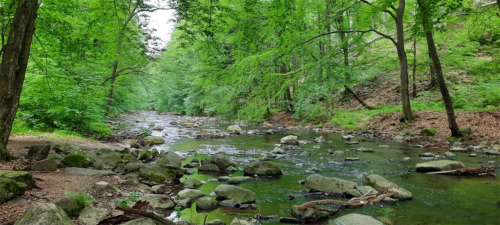 DSC_0395.jpg