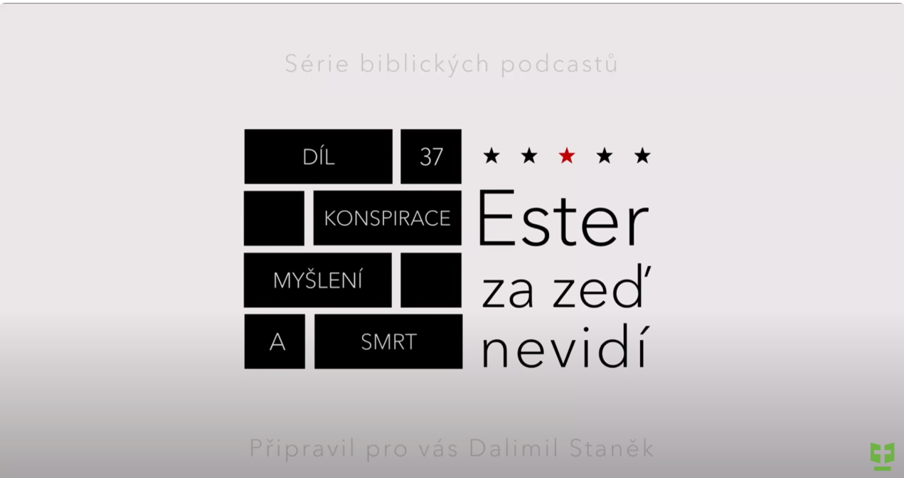 Snímek obrazovky 2024-05-27 170413.png