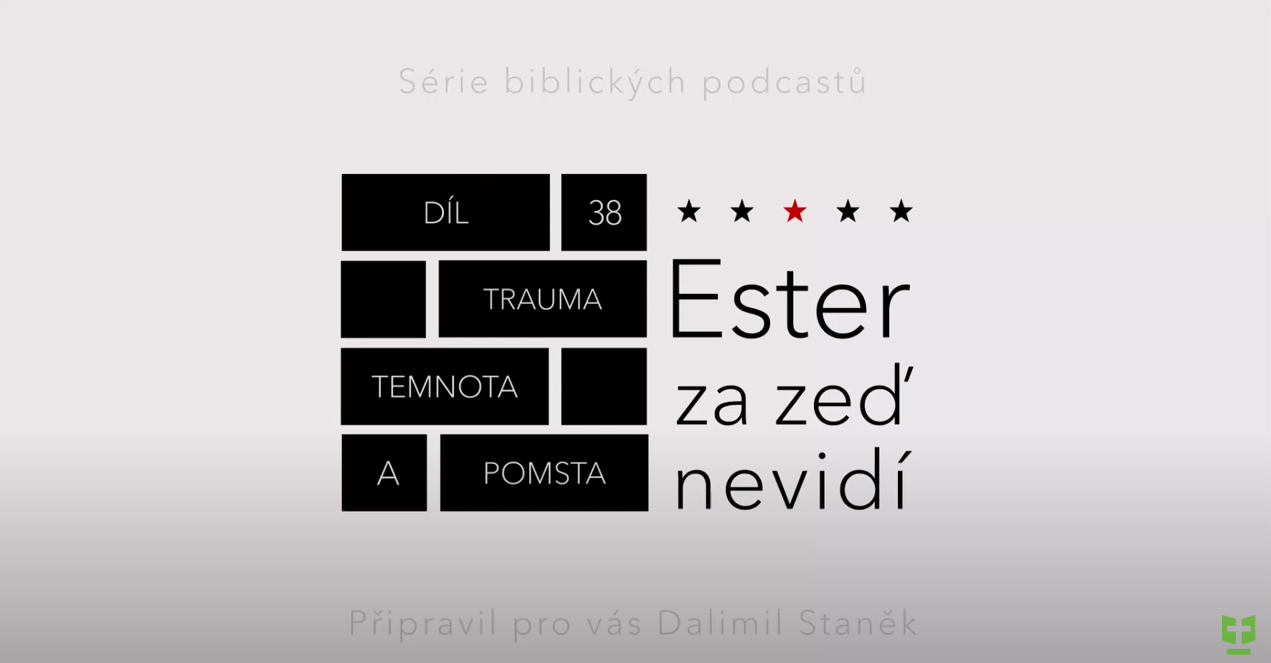 Snímek obrazovky 2024-06-04 115309.png